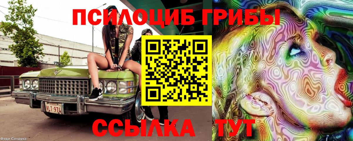 Псилоцибиновые грибы Psilocybe Электрогорск